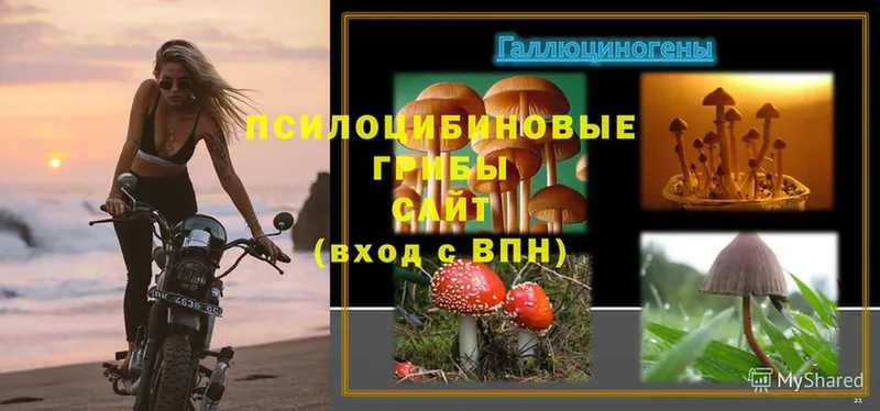 Галлюциногенные грибы Cubensis  Алупка 